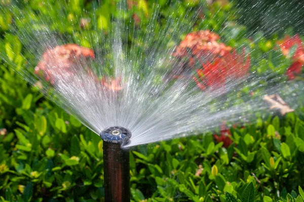 Sprinkler Kop Water Tuin — Stockfoto