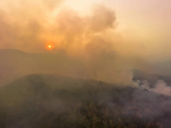Klimatické Změny Tropické Požáry Uvolňují Emise Oxidu Uhličitého Co2 Které — Stock fotografie