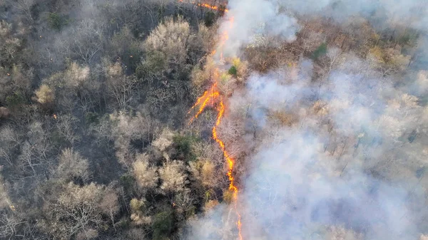 Nino Weather Phenomenon Cause Drought Increase Wildfire Southeast Asia — Stock Photo, Image