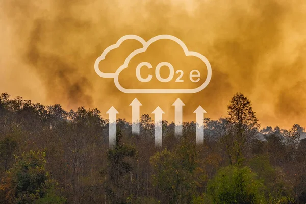 Klimaatverandering Tropische Bosbranden Veroorzaken Kooldioxide Co2 Emissies Die Bijdragen Tot — Stockfoto