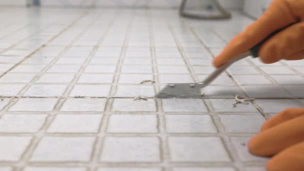 Housekeeper Remover Argamassa Velha Telhas Banheiro Recozimento Telhas Argamassa Para — Vídeo de Stock
