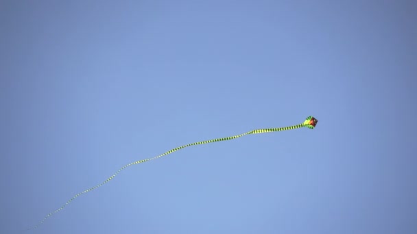 Stingray Kites Flying Sky — Stock Video