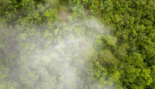 stock image Mist on tropical rainforest mountain, Tropical forests can increase the humidity in air and absorb carbon dioxide from the atmosphere.
