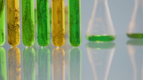 藻类燃料生物燃料工业实验室研究矿物藻类燃料或藻类生物燃料的替代品 Zero Carbon排放概念 — 图库视频影像