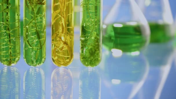 Laboratório Indústria Biocombustíveis Combustível Algas Que Procura Alternativas Combustível Algas — Vídeo de Stock