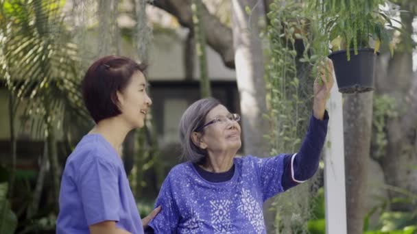 Садова Терапія Деменції Лікування Літньої Жінки Доглядальницею — стокове відео