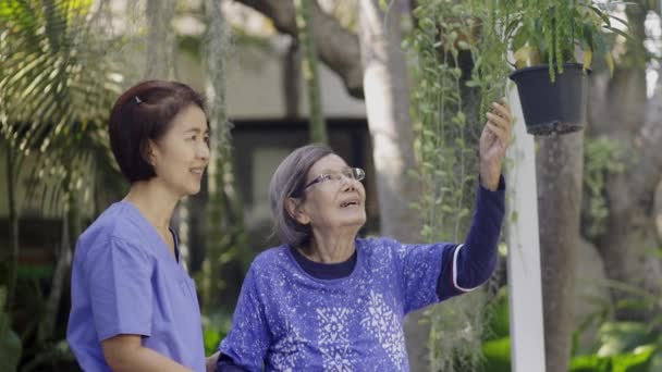 Terapia Grădinărit Tratamentul Demenței Femeile Vârstă Îngrijitor — Videoclip de stoc