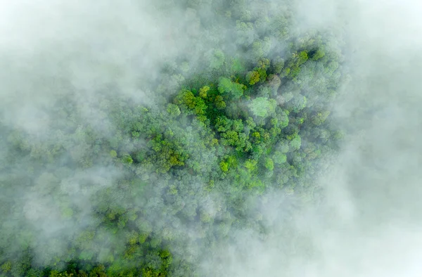 Nebelschwaden Auf Tropischen Regenwaldbergen Tropische Wälder Können Die Luftfeuchtigkeit Erhöhen Stockfoto