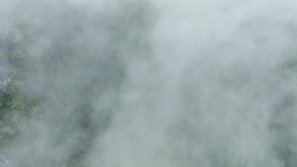 Туман Тропических Горах Тропических Лесов Тропические Леса Могут Увеличить Влажность — стоковое видео