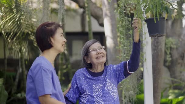 Terapia Jardinagem Tratamento Demência Mulher Idosa Com Cuidador — Vídeo de Stock