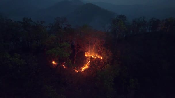 气候变化 野火排放二氧化碳和其他导致气候变化和全球变暖的温室气体 — 图库视频影像
