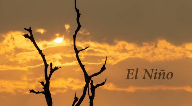 El Nino hava durumu fenomeni Güneydoğu Asya 'da kuraklığa yol açtı.
