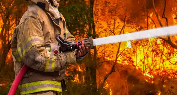 消防员向森林大火喷水 热带野火释放二氧化碳 Co2 造成气候变化和全球变暖 免版税图库图片