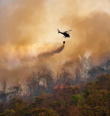 Yangın söndürme helikopteri orman yangını üzerine su bırakıyor çünkü iklim değişikliği ve küresel ısınma küresel yangın eğilimlerine yol açıyor.