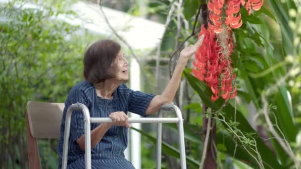 Uśmiechnięta Staruszka Ogrodzie Happy Senior Kobieta Siedzi Tarasie Czerwonymi Jadeitowymi — Wideo stockowe