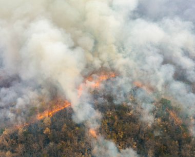 El Nino hava durumu fenomeni güneydoğu Asya 'da kuraklığa ve orman yangınlarına yol açtı..