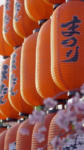Japońskie Latarnie Ozdobione Festiwalem Żywności Tłumacz Hiragana Alfabet Matsuri Oznacza — Wideo stockowe