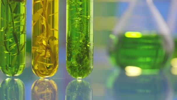 Laboratorio Industria Biocombustibles Combustible Algas Que Investiga Alternativas Combustible Algas — Vídeos de Stock