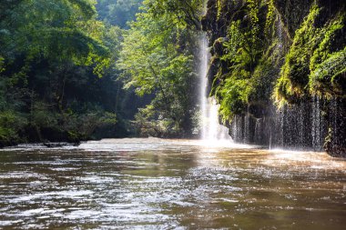 Tropikal ormanlar atmosferden büyük miktarlarda karbondioksit emebilir..
