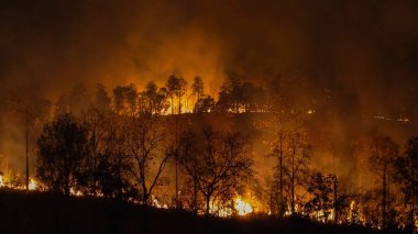 İklim değişikliği, orman yangınları iklim değişikliğine katkıda bulunan karbondioksit (CO2) emisyonları ve diğer sera gazları (GHG) salınımı.
