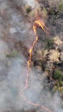 İklim değişikliği, orman yangınları iklim değişikliğine katkıda bulunan karbondioksit (CO2) emisyonları ve diğer sera gazları (GHG) açığa çıkarır. Dikey Video.