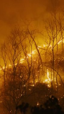 İklim değişikliği, orman yangınları iklim değişikliğine katkıda bulunan karbondioksit (CO2) emisyonları ve diğer sera gazları (GHG) açığa çıkarır. Dikey Video.