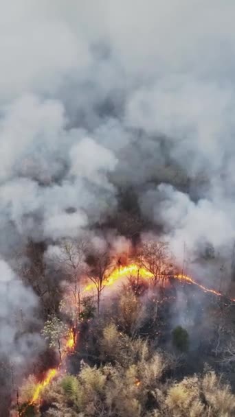 Klimatförändringar Skogsbränder Släpper Koldioxid Co2 Utsläpp Och Andra Växthusgaser Ghg — Stockvideo