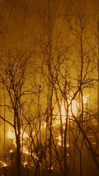 Klimawandel Waldbrände Setzen Kohlendioxid Co2 Und Andere Treibhausgase Frei Die — Stockvideo