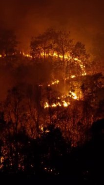 İklim değişikliği, orman yangınları iklim değişikliğine katkıda bulunan karbondioksit (CO2) emisyonları ve diğer sera gazları (GHG) açığa çıkarır. Dikey Video.