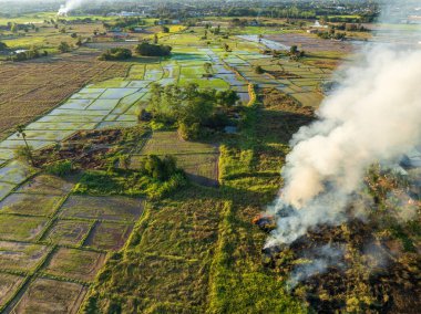 İklim değişikliği, tarım yangınları iklim değişikliğine katkıda bulunan karbondioksit salınımı (CO2) ve diğer sera gazları (GHG).