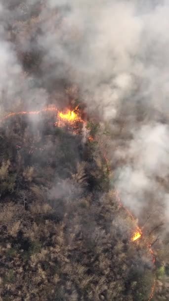 垂直录像 热带森林野火释放二氧化碳 Co2 排放和造成气候变化的其他温室气体 — 图库视频影像
