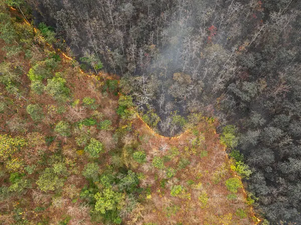Лесные Пожары Высвобождают Углекислый Газ Другие Парниковые Газы Такие Метан Стоковое Фото