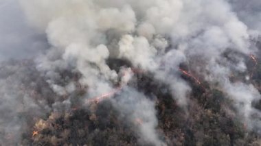 İklim değişikliği, orman yangınları iklim değişikliğine katkıda bulunan karbondioksit (CO2) emisyonları ve diğer sera gazları (GHG) salınımı.