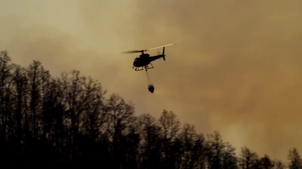 Helicóptero Extinción Incendios Arrojando Agua Sobre Fuego Salvaje — Vídeos de Stock