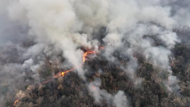 気候変動 山火事は 気候変動に貢献する二酸化炭素 Co2 の排出および他の温室効果ガス Ghg を放出する — ストック動画