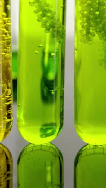 藻類燃料バイオ燃料産業は 化石藻類燃料やアルゴリズムバイオ燃料に代わる研究を行っている ゼロカーボンエミッションコンセプト バーティカルビデオ ロイヤリティフリーストック映像