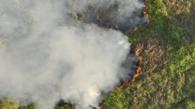 İklim değişikliği, tarım yangınları iklim değişikliğine katkıda bulunan karbondioksit salınımı (CO2) ve diğer sera gazları (GHG).