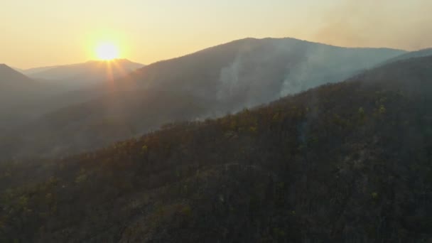 Waldbrand Durch Jagd Subtropischen Waldtal — Stockvideo