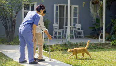 Asian senior woman and caregiver relaxing with cat in backyard. clipart