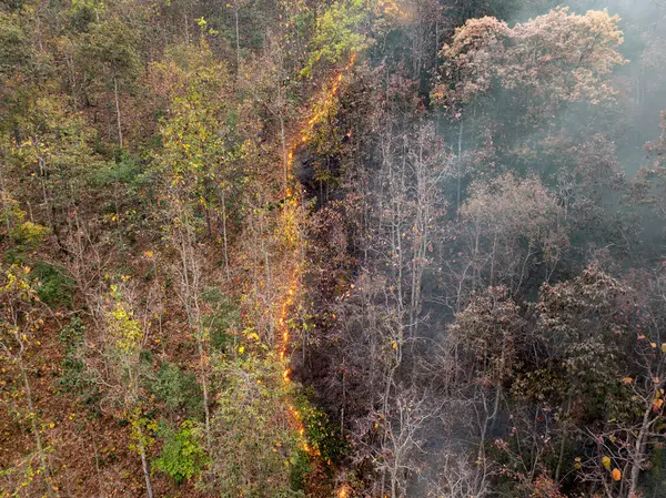 Forest Fires Release Carbon Dioxide Other Greenhouse Gasses Methane Atmosphere — Stock Photo, Image
