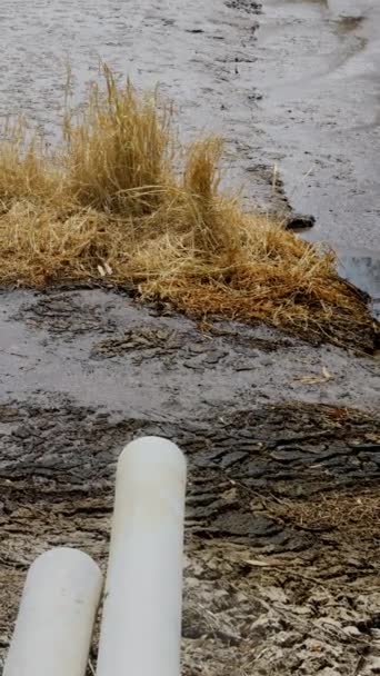 Odpadní Bahno Odpadní Vody Průmyslu Nejsou Před Odtokem Řeky Vyčištěny — Stock video