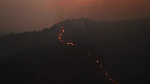 Divoké Požáry Tropických Lesích Uvolňují Emise Oxidu Uhličitého Co2 Další — Stock video