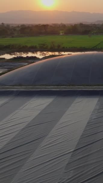 家禽農場からのバイオガスの生産のための覆われたラグーン消化器 バーティカルビデオ — ストック動画