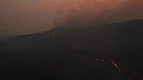 热带森林野火释放二氧化碳 Co2 排放和造成气候变化的其他温室气体 — 图库视频影像