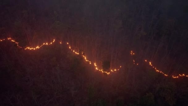 熱帯林の野火は 気候変動に貢献する二酸化炭素 Co2 の排出および他の温室効果ガス Ghg を放出する — ストック動画