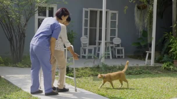 アジアのシニア女性と介護者は裏庭で猫とリラックス ストック映像
