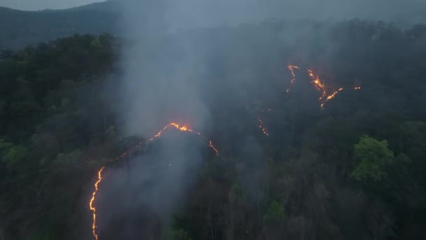 Zmiany Klimatu Pożary Lasów Uwalniają Emisje Dwutlenku Węgla Co2 Inne — Wideo stockowe