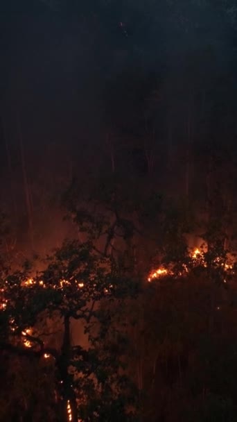 Zmiany Klimatu Pożary Lasów Uwalniają Emisje Dwutlenku Węgla Co2 Inne Wideo Stockowe