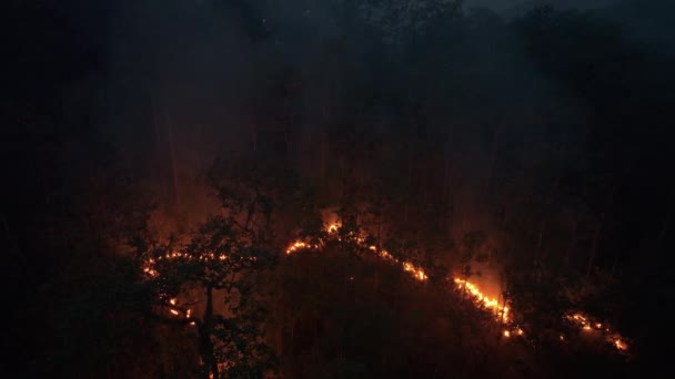 Κλιματική Αλλαγή Wildfires Απελευθερώνουν Εκπομπές Διοξειδίου Του Άνθρακα Co2 Και Βίντεο Αρχείου