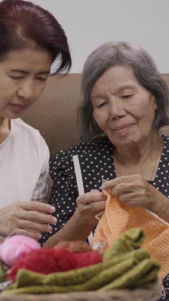 Starsza Kobieta Córka Szydełkują Się Chronić Demencję Utratę Pamięci Pionowe — Wideo stockowe